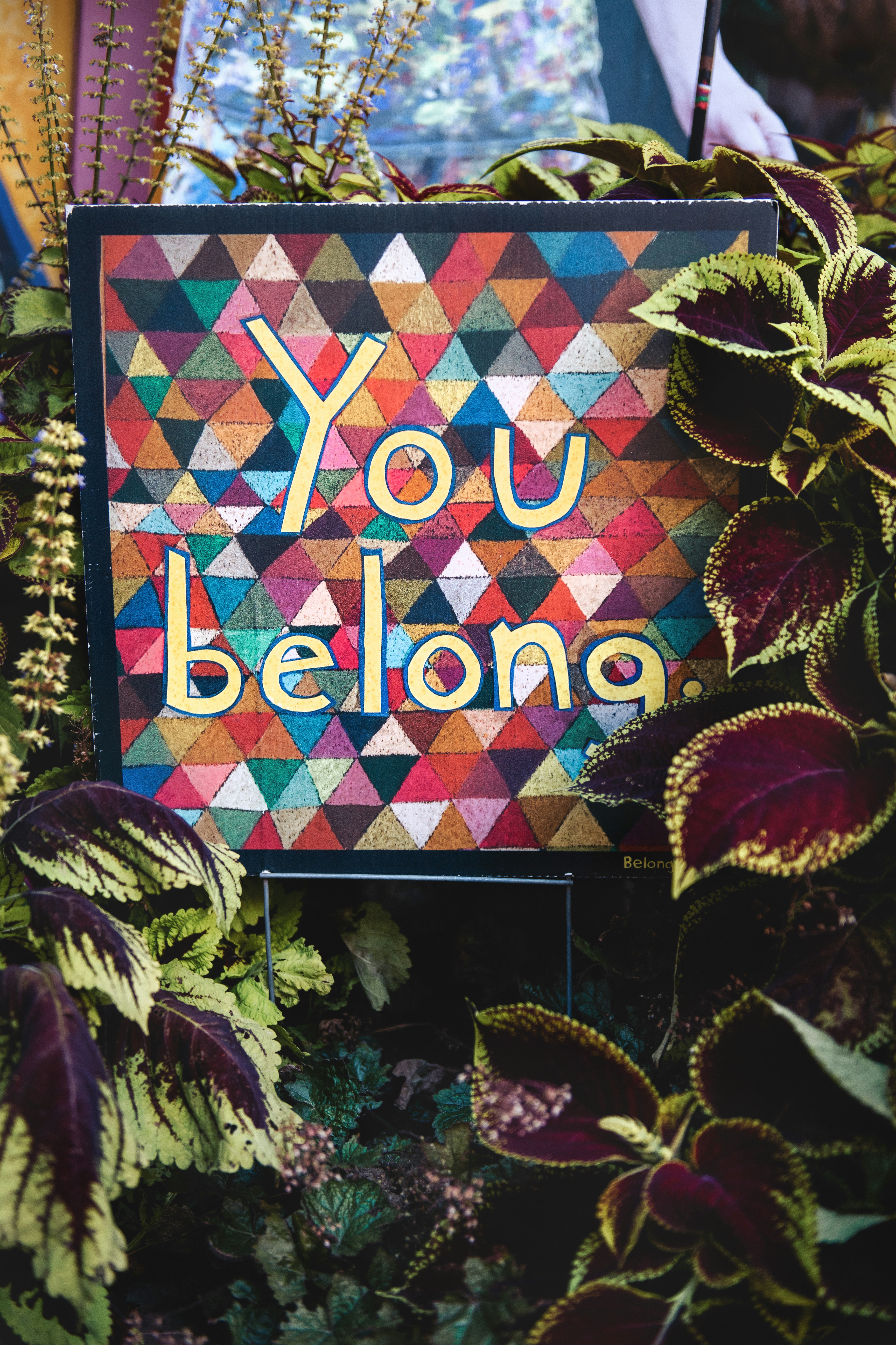 You belong (Quelle: https://unsplash.com/de/fotos/ein-schild-das-besagt-dass-sie-von-pflanzen-umgeben-sind-pId0KssmHK4, Unsplash-Lizenz)